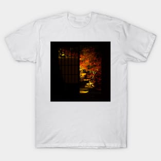 Photography - Fall seen true a window T-Shirt